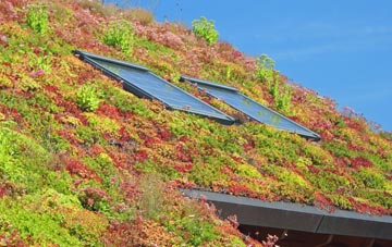 Backe living roof systems