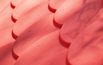 Backe plastic roof costs