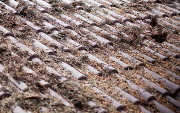 Backe roof cleaning companies