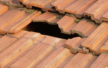 roof repair Backe, Carmarthenshire