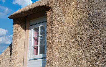 Backe thatch roof disadvantages
