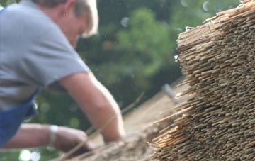 professional Backe thatchers