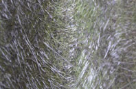 Backe fibreglass roof work