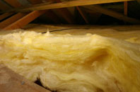 Backe pitch roof insulation
