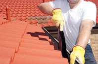 Backe roof cleaners