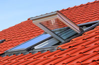 Backe roof window